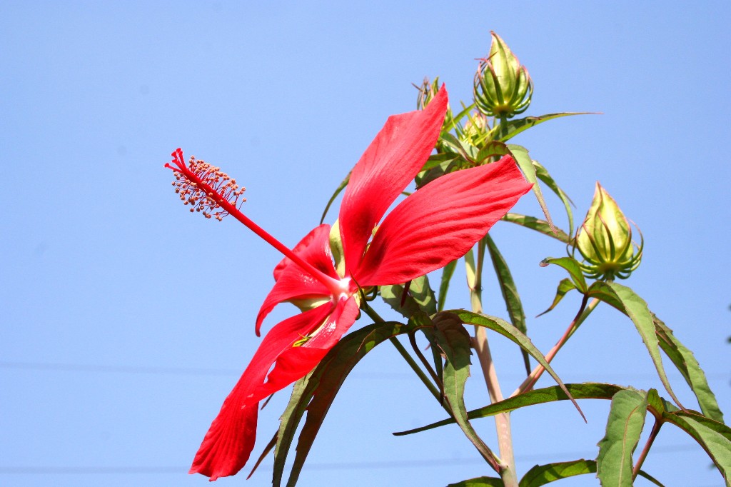 a0004023_17145693.jpg