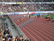 e0094325_2338209.jpg