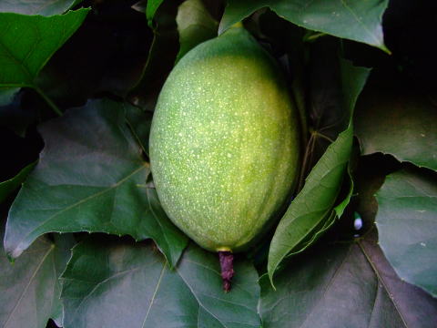 f0147025_23263946.jpg