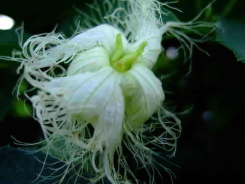 f0147025_23331463.jpg