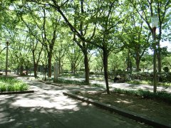 f0035127_17391851.jpg