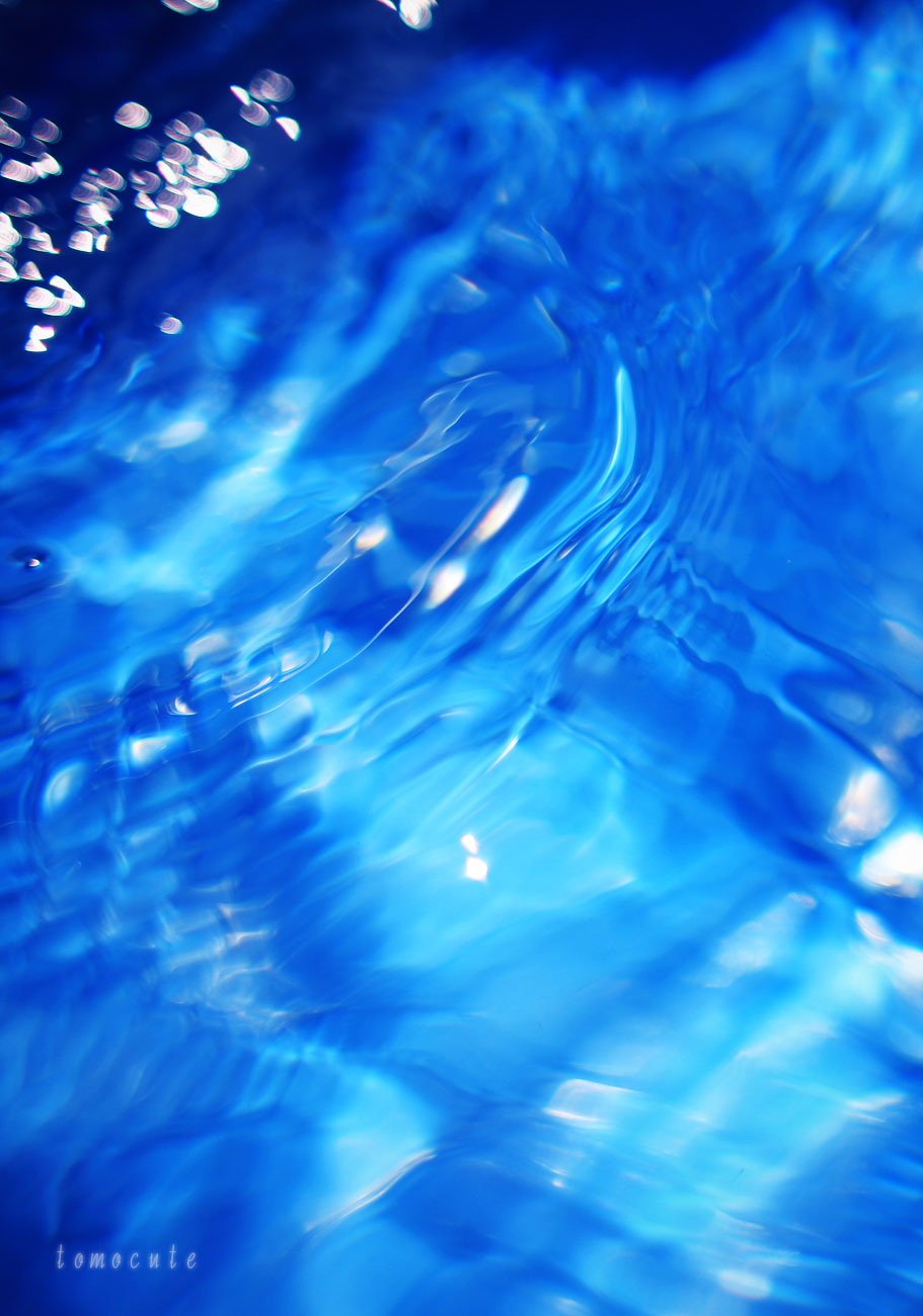 e0080128_11383555.jpg