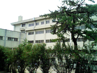 b0013735_3581771.jpg