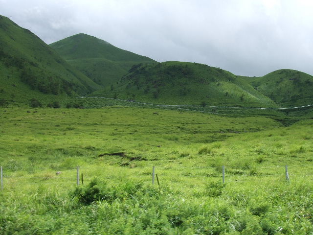 f0014935_1911066.jpg