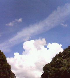 c0118536_2011115.jpg