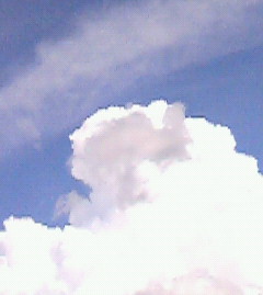 c0118536_20111266.jpg