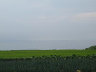 e0110038_213331.jpg