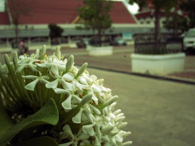 a0023740_22401728.jpg