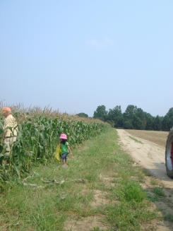 e0096340_0392896.jpg