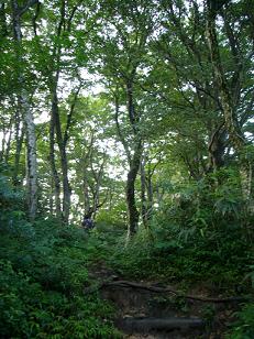 f0065941_1015047.jpg