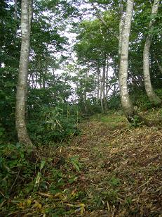 f0065941_10193673.jpg