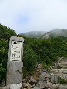 f0065941_1738376.jpg