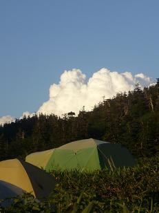 f0065941_1742479.jpg