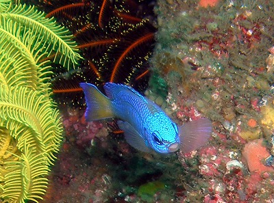 a0079659_833040.jpg