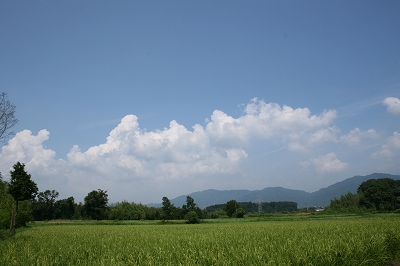e0057760_9453031.jpg