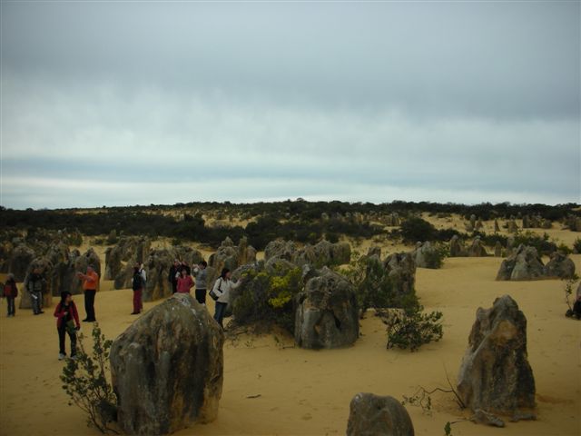 c0110871_1854819.jpg