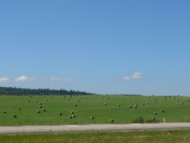 a0100975_12154993.jpg