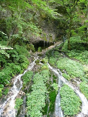 c0107075_238357.jpg