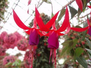 c0105785_10121671.jpg