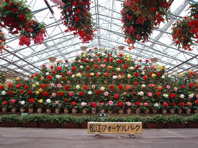 c0105785_939110.jpg