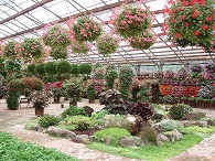 c0105785_9432188.jpg