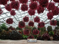 c0105785_9492635.jpg