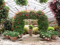 c0105785_9493779.jpg