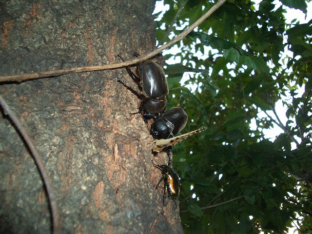c0126786_20322870.jpg
