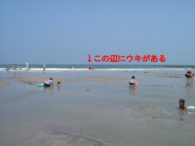 c0014187_15335932.jpg