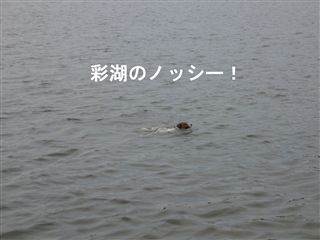 e0121589_0111131.jpg