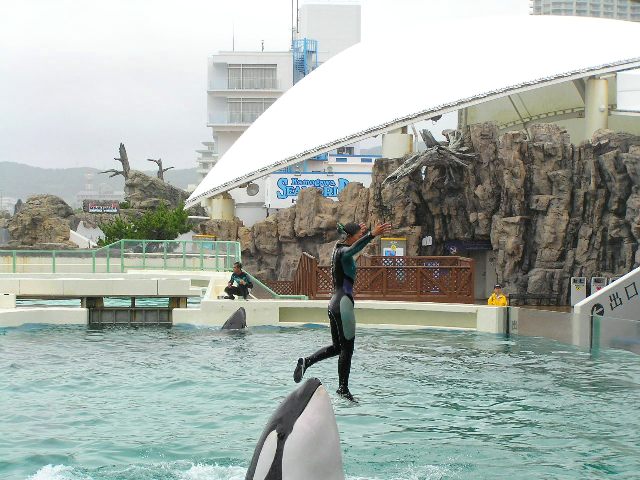 c0034595_11104987.jpg