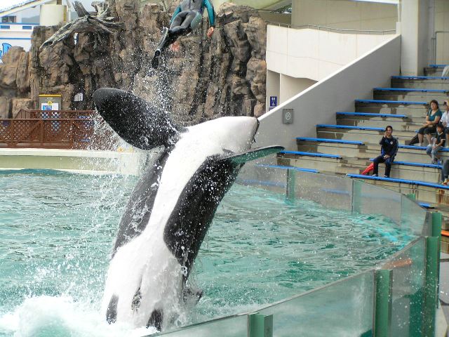 c0034595_11113875.jpg