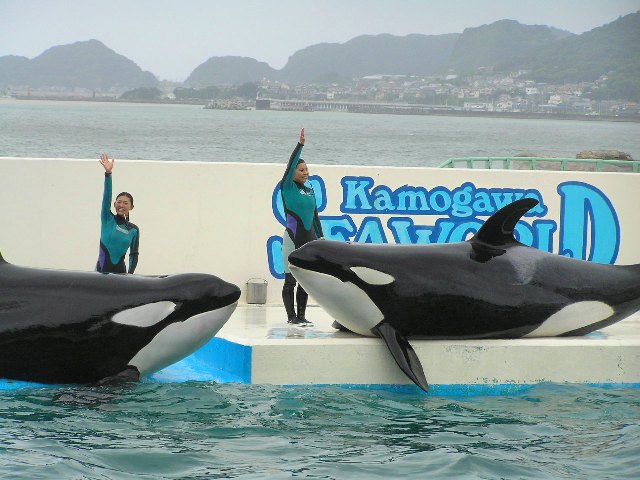 c0034595_11151360.jpg