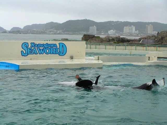 c0034595_1152263.jpg