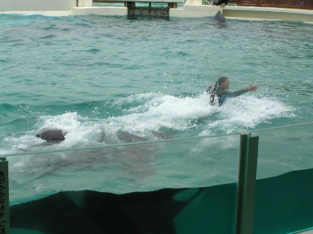 c0034595_1164533.jpg