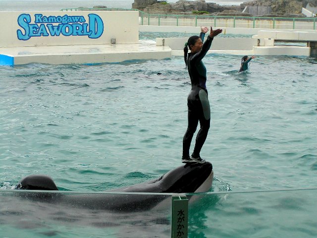 c0034595_1172795.jpg