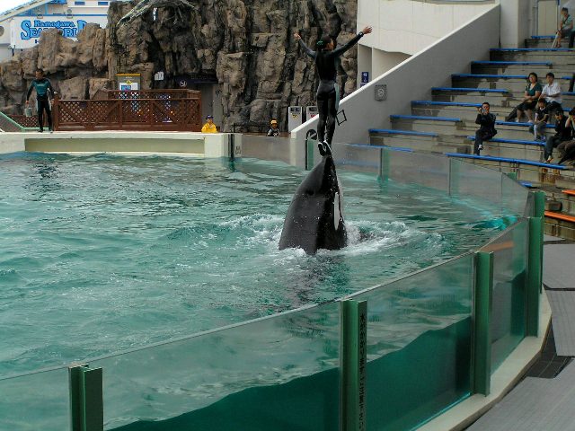 c0034595_119396.jpg