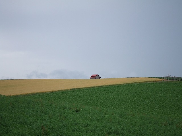 f0147602_9413080.jpg