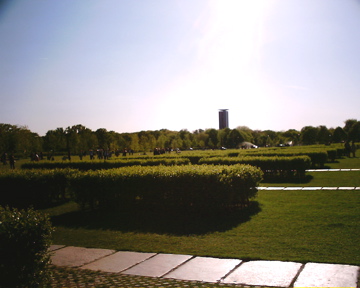 d0111714_703635.jpg