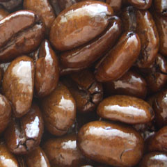 c0036617_16324613.jpg