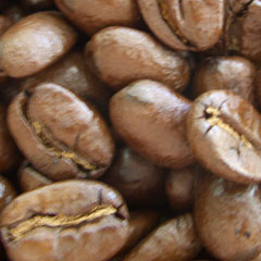 c0036617_1633566.jpg