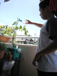 c0124322_181617.jpg