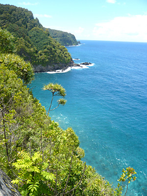 d0023725_445682.jpg