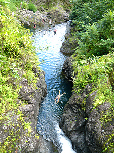d0023725_4464216.jpg