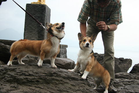 e0071225_1748210.jpg