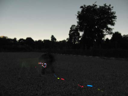 d0109728_19587.jpg