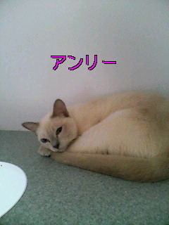 a0090729_16382334.jpg