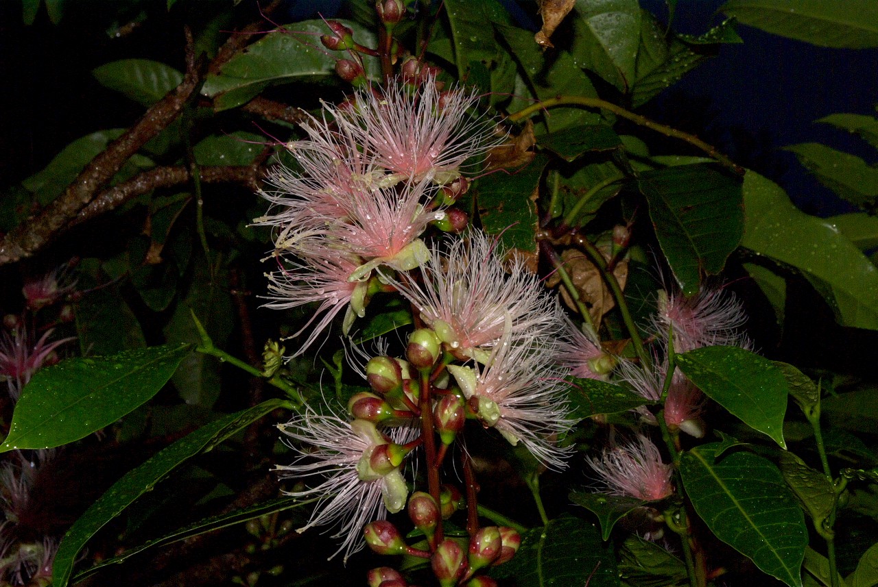 d0053930_22522136.jpg