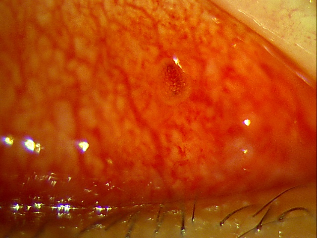 f0088231_19254567.jpg