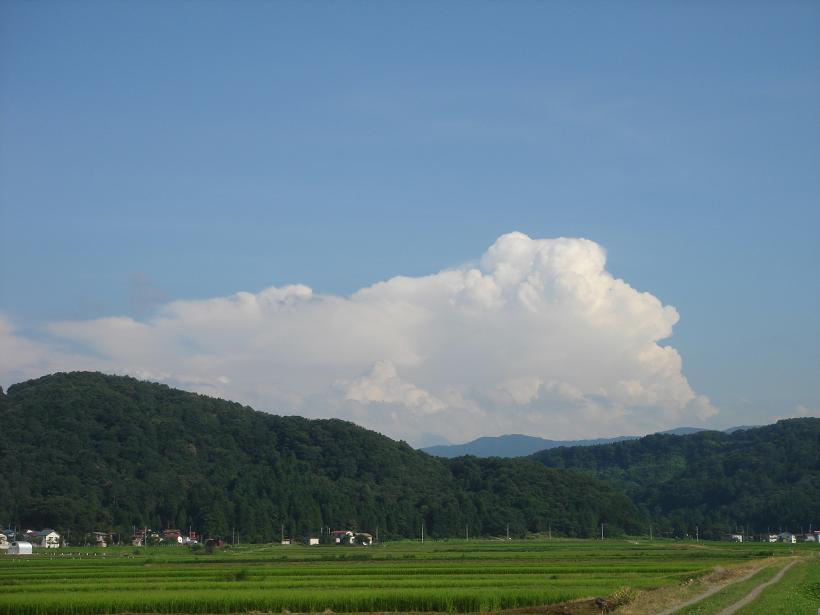 f0131535_031251.jpg